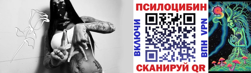 Купить где  Балабаново  Псилоцибиновые грибы мицелий 